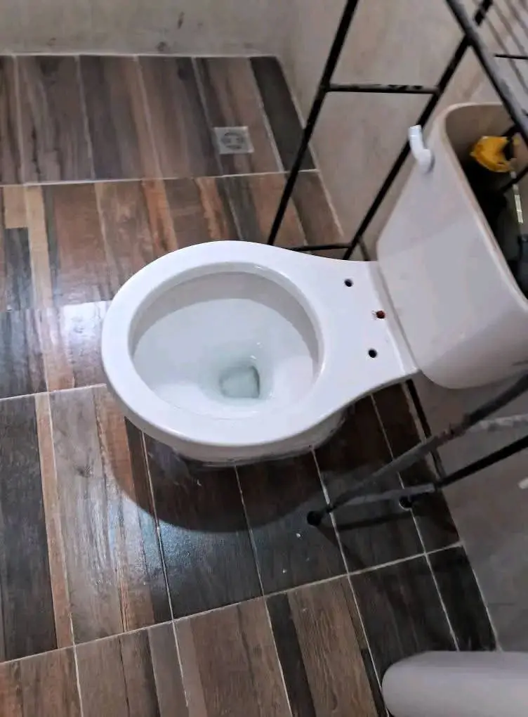 destapar-wc